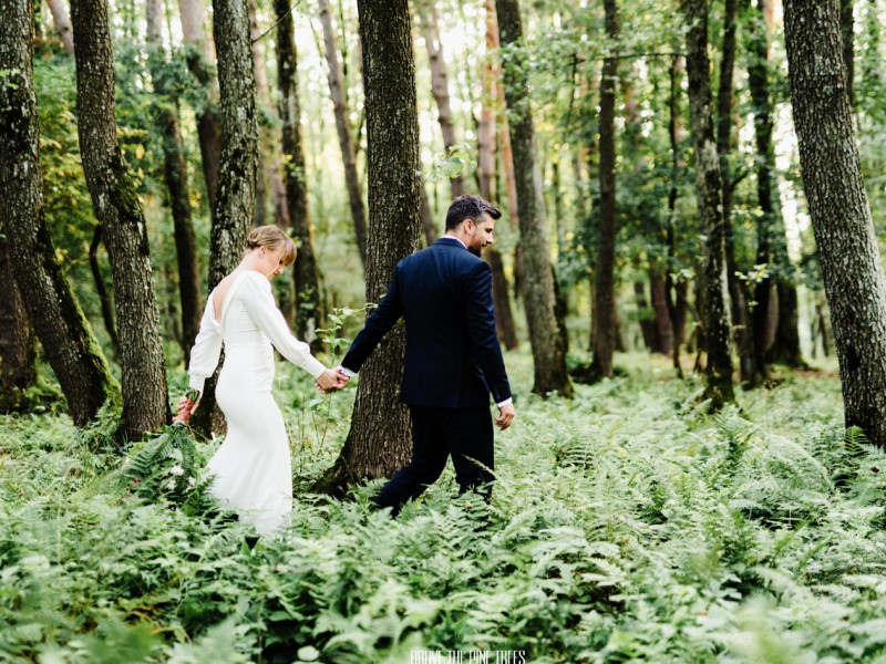 above-the-pine-trees-photography
