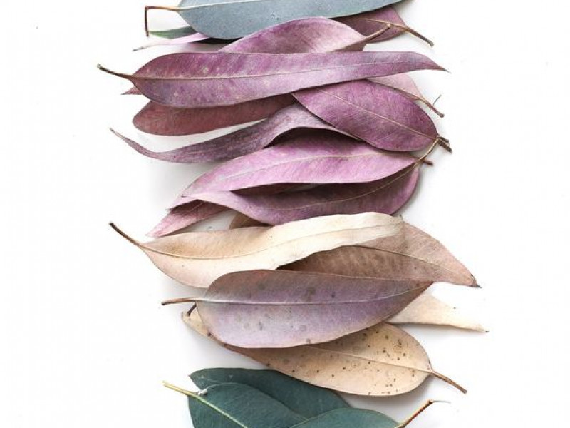 top-wedding-color-mistakes-to-avoid