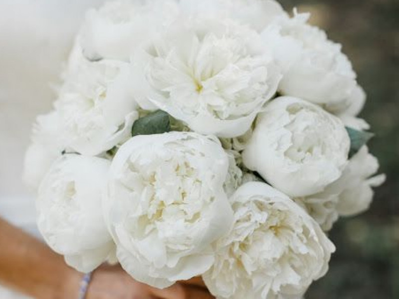 top-5-flowers-for-your-summer-wedding-bouquet