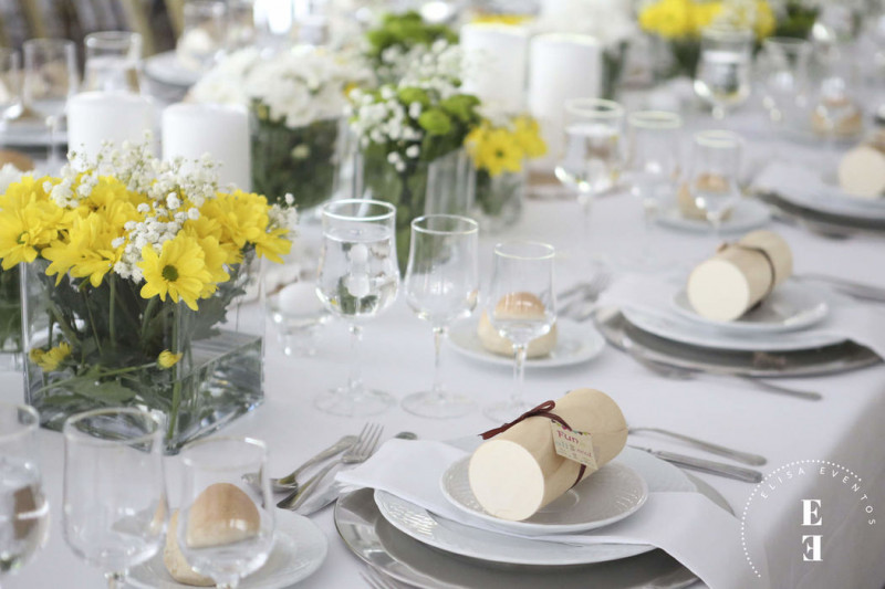 elisa-eventos-gestao-e-organizacao