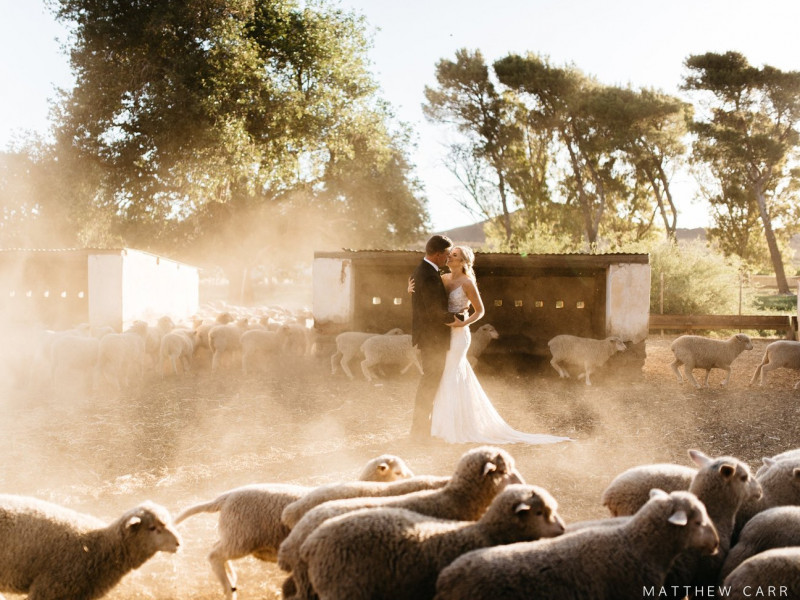 matthew-carr-photography