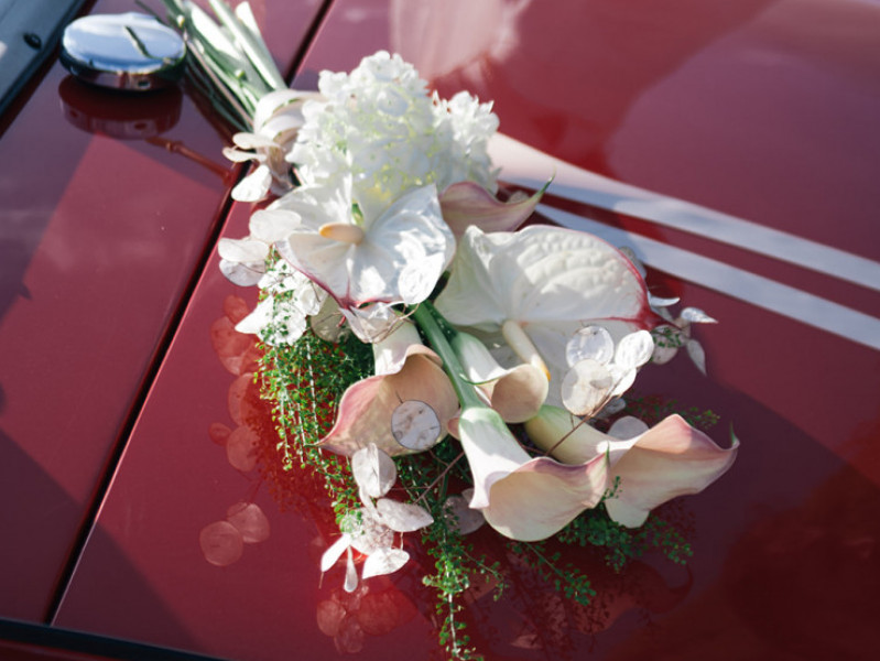 stardust-atelier-photography