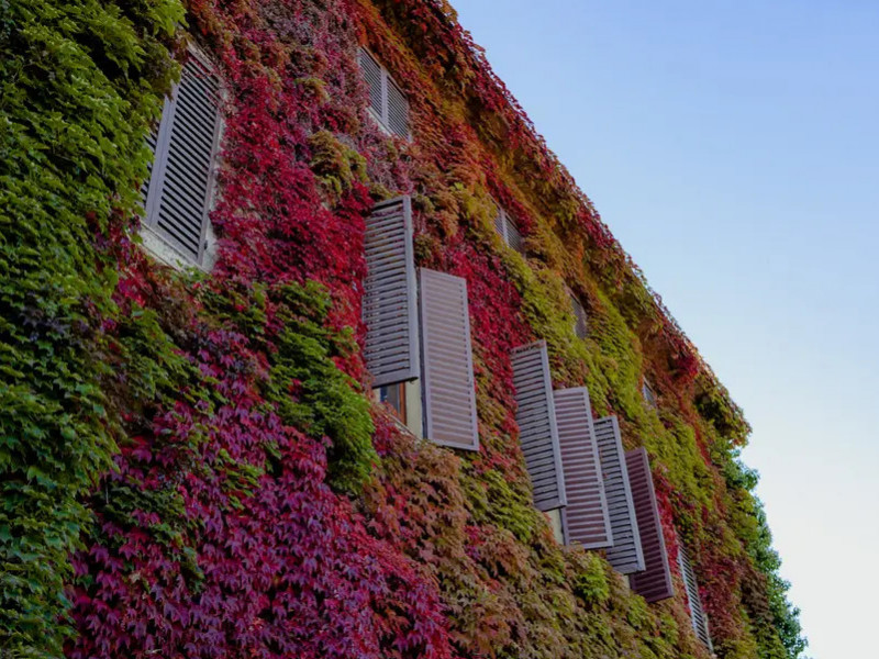 villa-coccapani-pignatti-morano