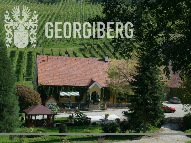 weingut-georgiberg-restaurant-winegarden